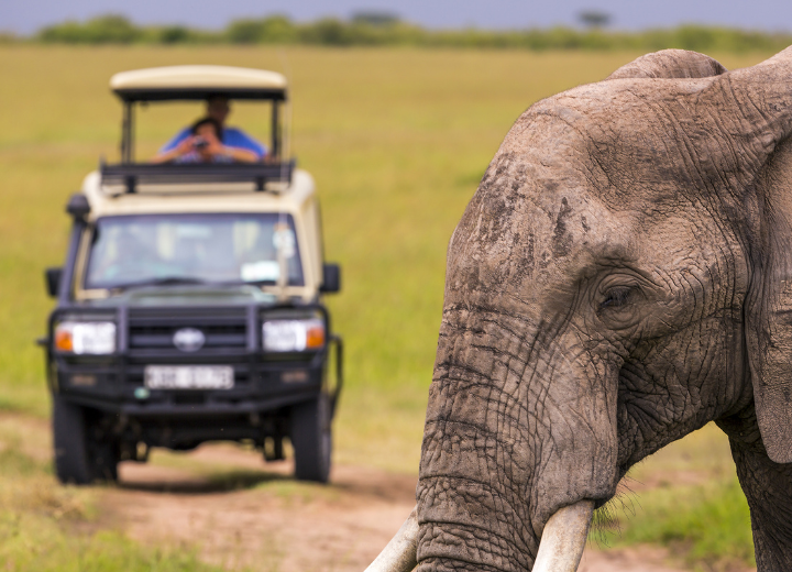 Tourist and Safari Car Rental
